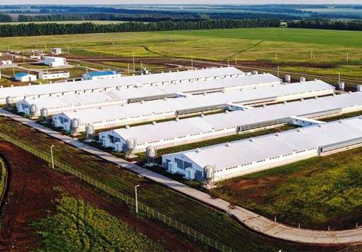 BIM проектирование комплекса объектов «Площадка растениеводства» в Нижегородской области